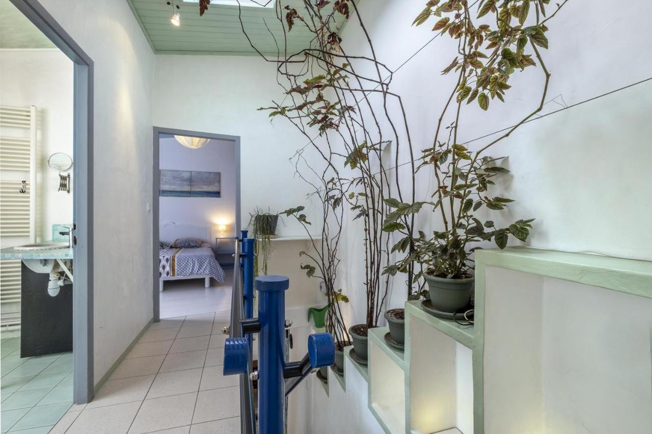 罗什福尔Les Volets Bleus T3 De 80 M2 Patio Privatif公寓 外观 照片